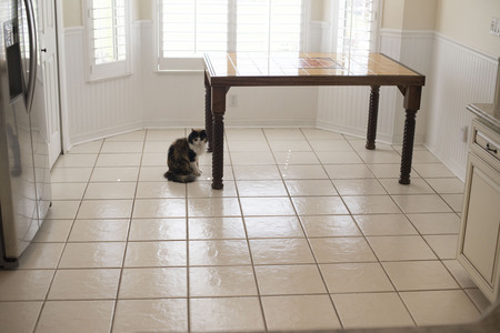 tile floor in breakfast nook before removal